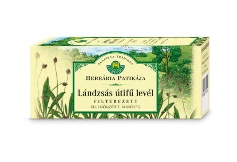 LÁNDZSÁS ÚTIFŰ LEVÉL FILT.25X