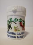 BIONIT Fokhagyma-Galagonya-Fagyöngy 90x