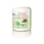 LS.CSIPKEBOGYÓ ANTIOX.NYUGT.PAK.200ML bio étrend-kiegészítő