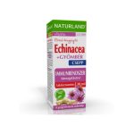 ECHINACEA+GYÖMBÉR CSEPP 30ML