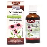 ECHINACEA CSEPPEK 50ML