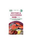 SHITAKE&GANODERMA INST.TEA 20X